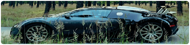The worlds most expensive cars Bugatti Veyron 