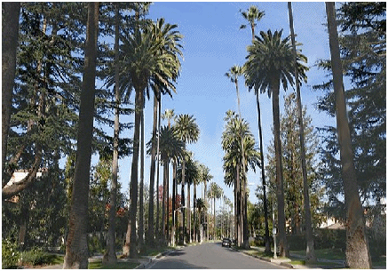 BEVERLY HILS REAL ESTATE | BEVERLY HILLS PROPERTY FOR SALE | BEVERLY HILLS CALIFORNIA BEVERLY HILS REAL ESTATE | BEVERLY HILLS PROPERTY FOR SALE | BEVERLY HILLS CALIFORNIA